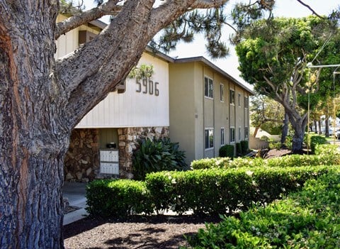 a building with a stone facade and a tree in front of it